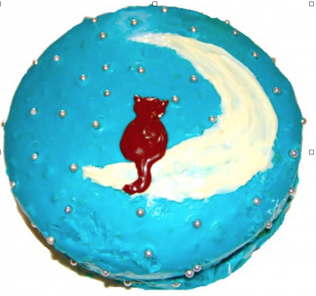 Torta Gatto sulla Luna